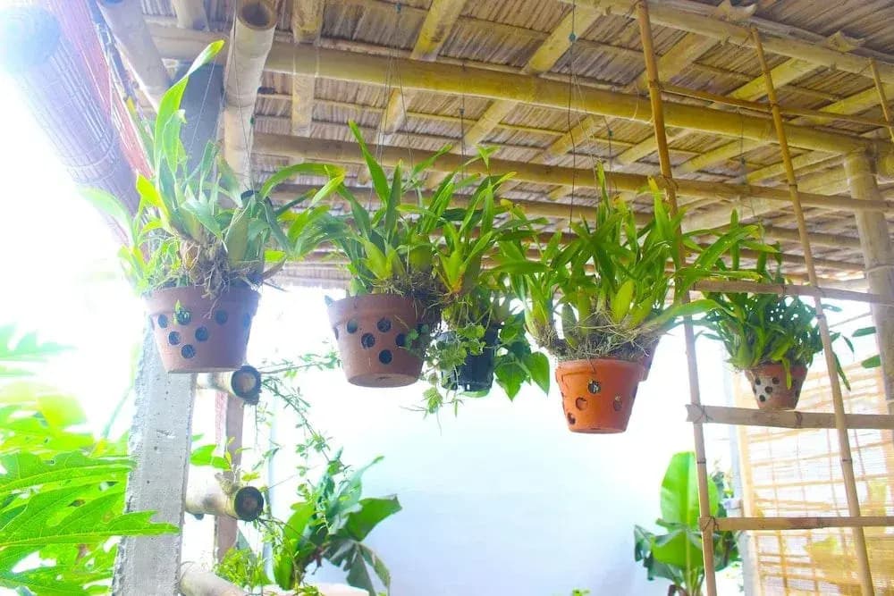 Ba's Garden Beachside Homestay - photo 8