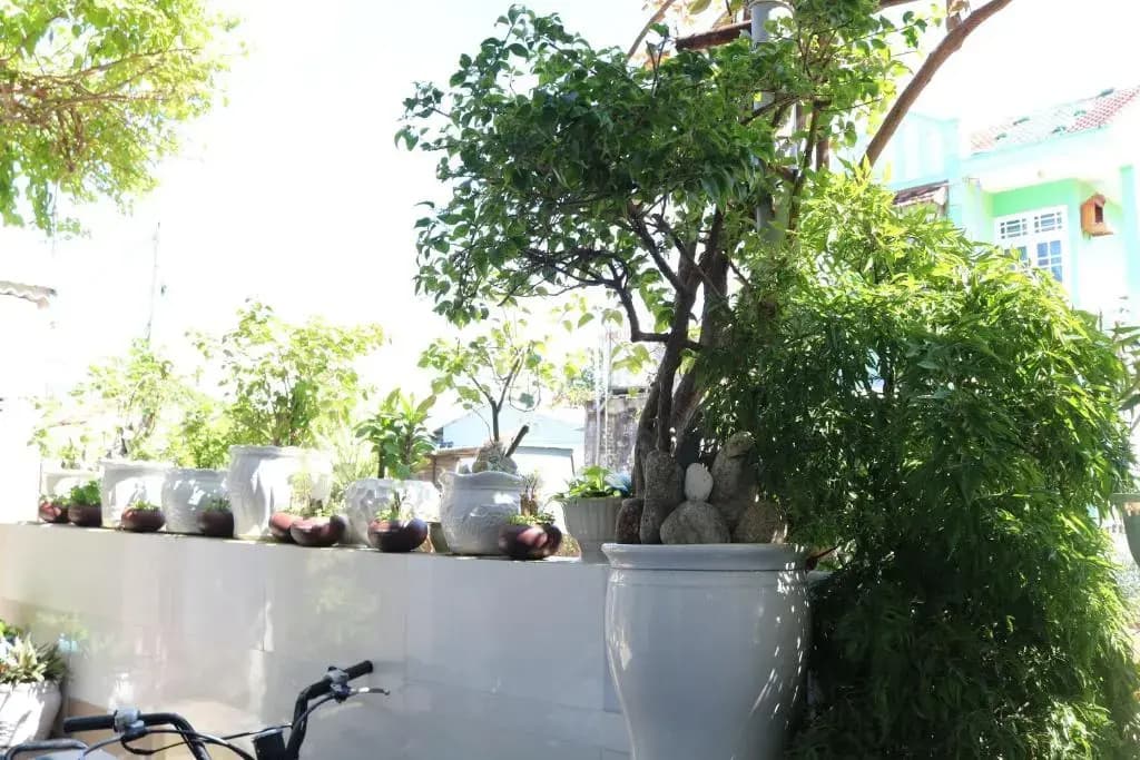 Green Garden House Homestay - photo 15