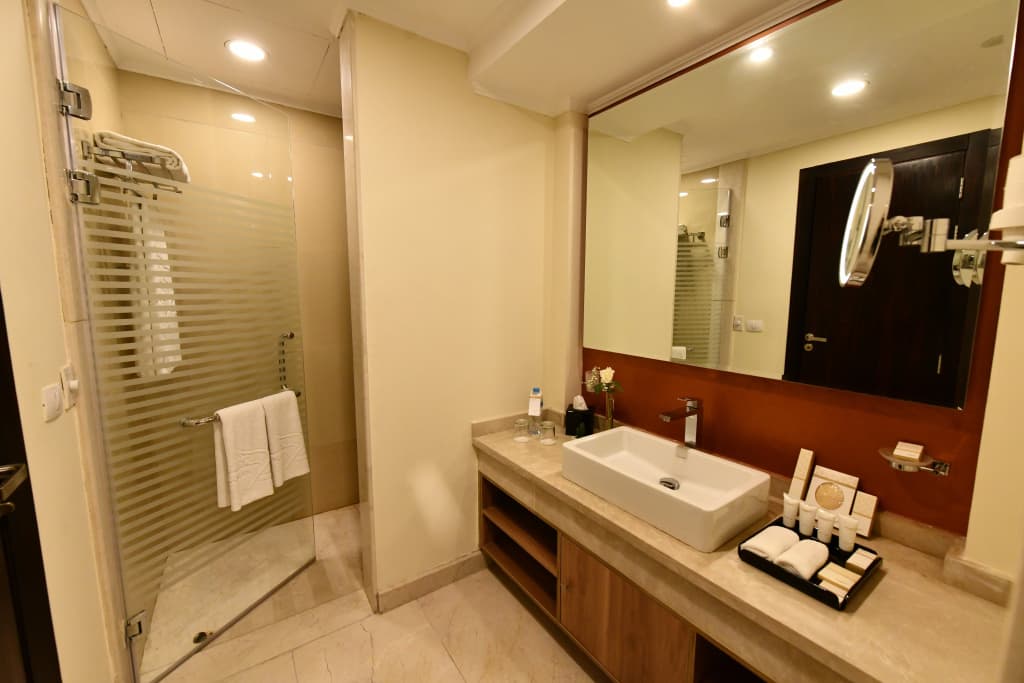 Triumph Luxury Hotel - photo 39