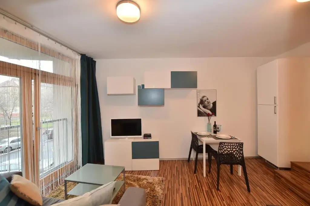 Apartment Rokytka - photo 3