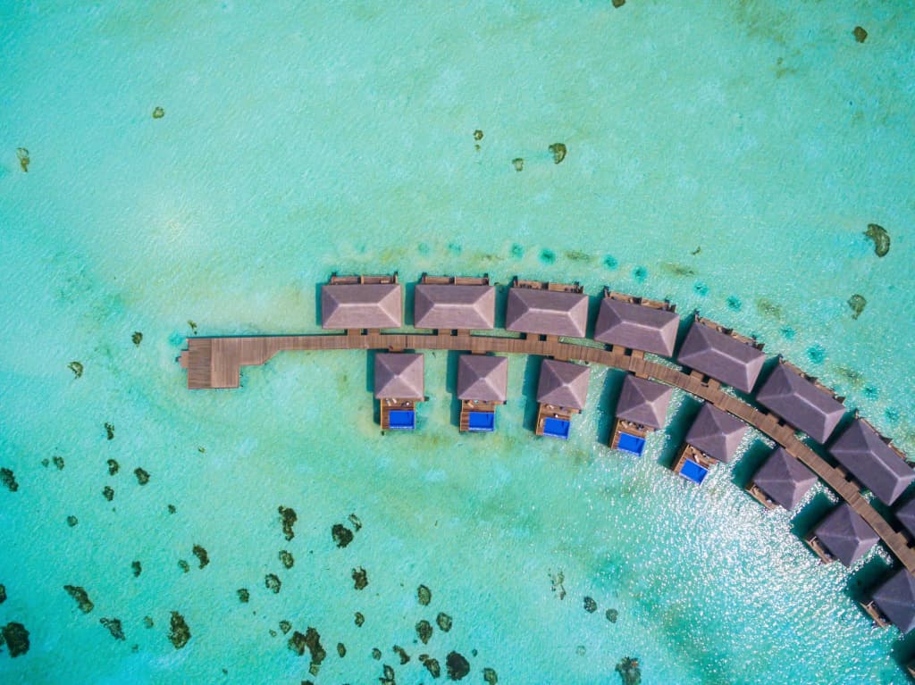Cocoon Maldives - photo 21