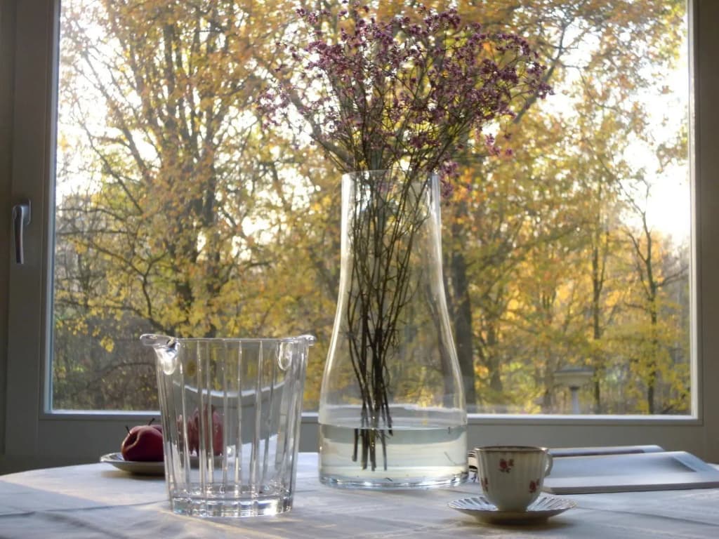 Miss Ortelia b&b - photo 15