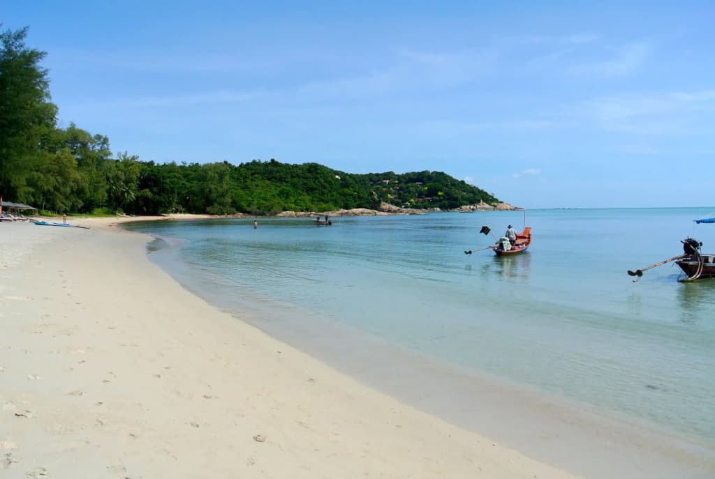 PS Thana Resort - photo 13