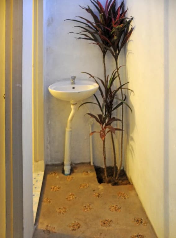 Happy Hippies Hostel - photo 9