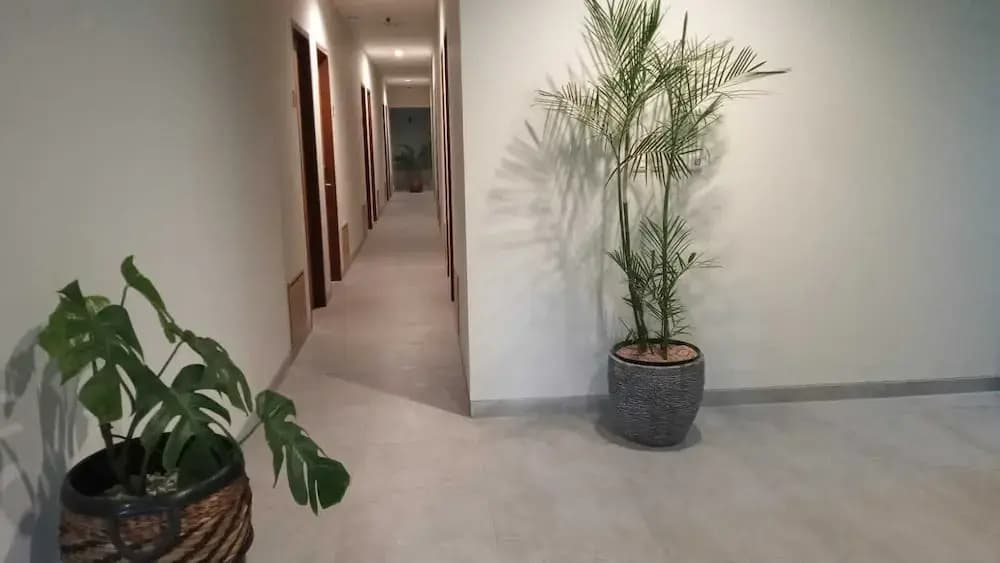Casa Calma Hotel - photo 10