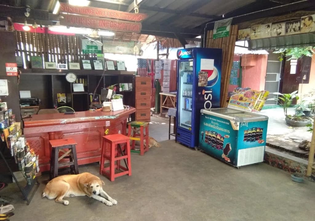 SDT Home - photo 43