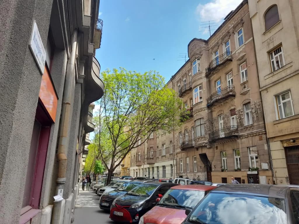 Stylish Homes Downtown Buda - photo 15