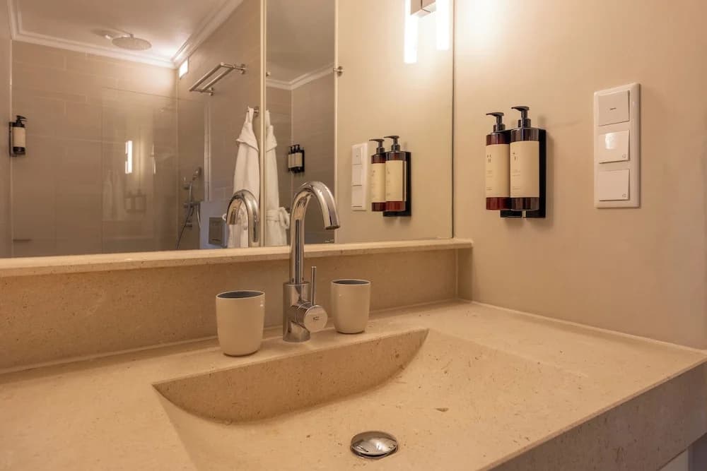 Park Mansion Hotel - photo 10