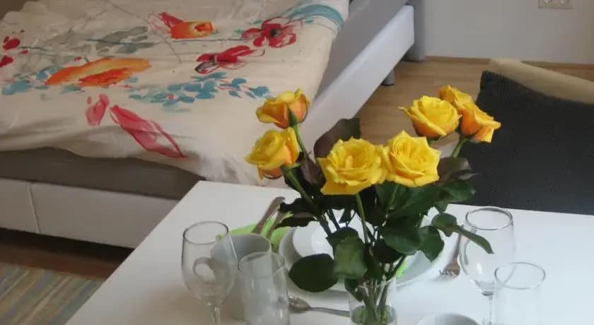 Vienna City Apartment Erlachgasse - photo 8