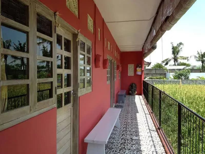 Canggu Stay - photo 3