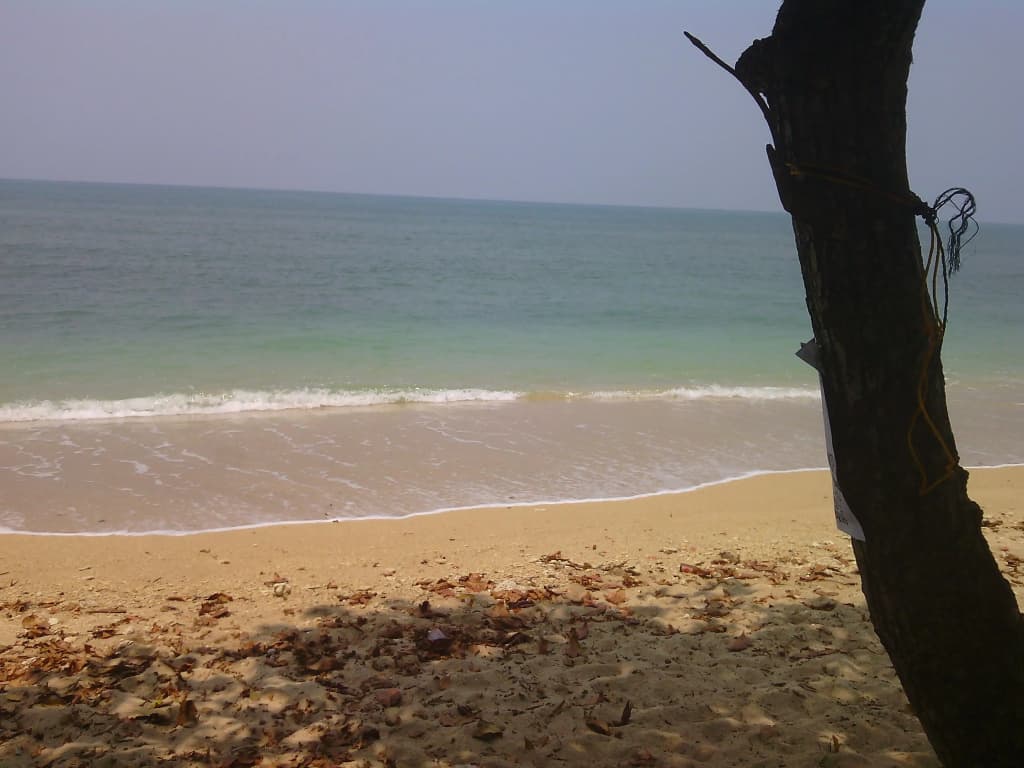 Sunanta Bungalow - photo 13