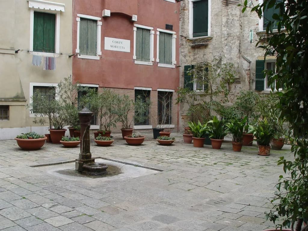 Sunny Venice Apartments - photo 10