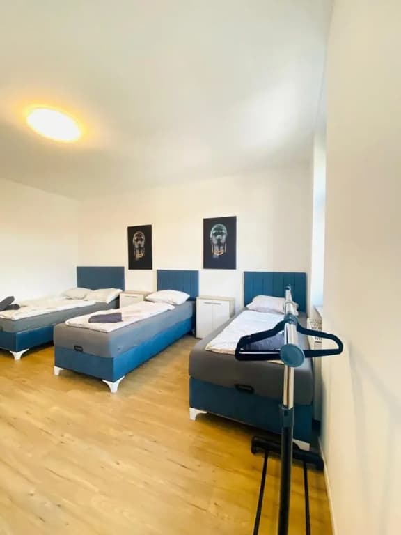 Spacious 4BR for 15 & 15 Min to Danube - photo 30