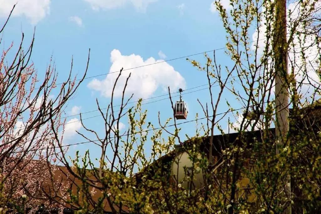 Feel Old Tbilisi - photo 10