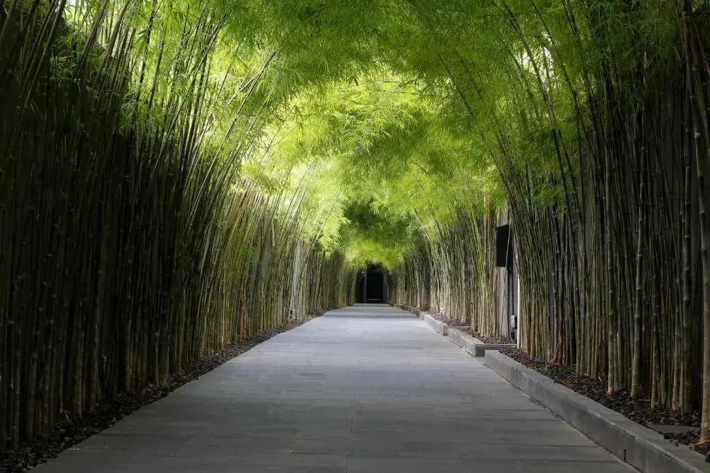 The Jineng Villas - photo 16