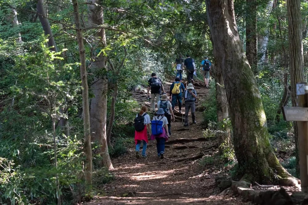 TAKAone ACTIVITY＆STAY - photo 19