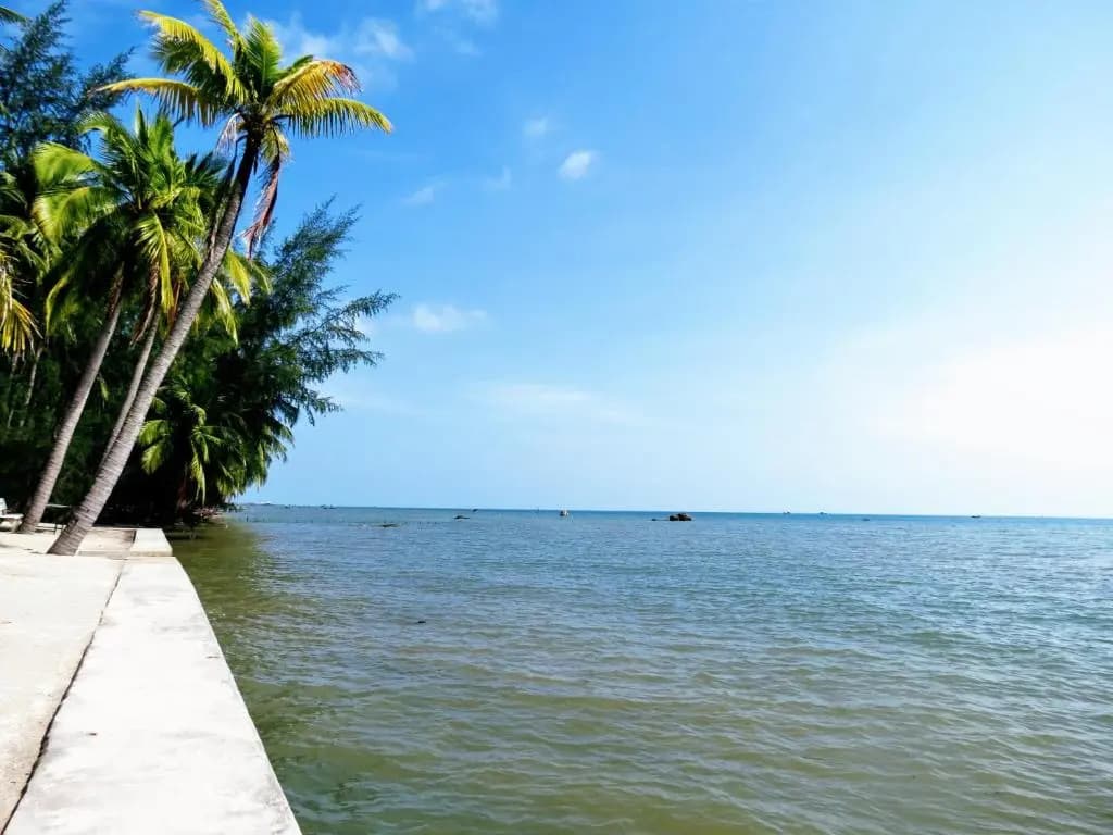 Kiki Coconut Beach Resort - photo 2