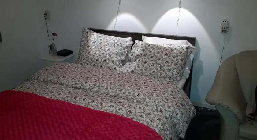 Niemollerstraat B&B Amsterdam - photo 2
