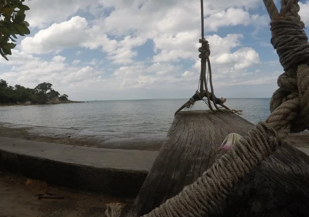 Dolphin Bay Beach Resort - photo 11
