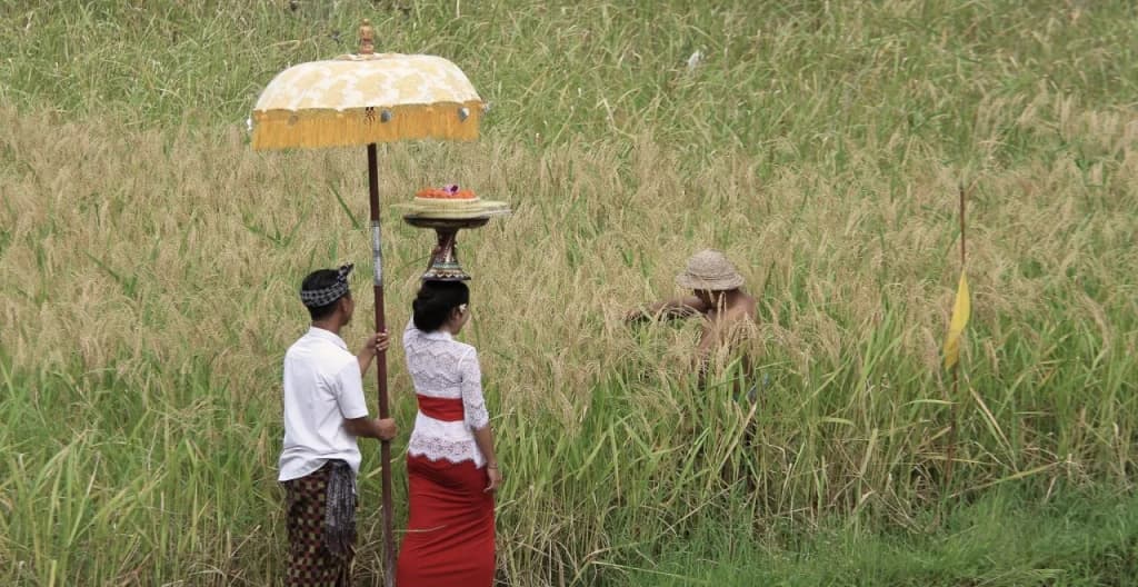 Kishi-Kishi Suites Ubud by EPS - photo 12
