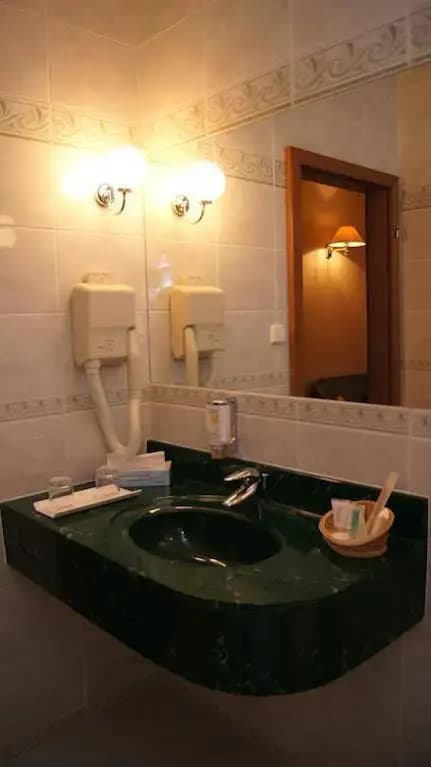 Hotel Regina - photo 6
