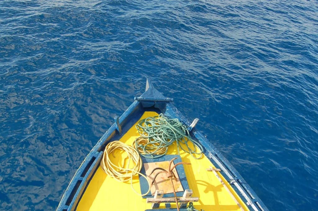 Vaali Maldives Island Escapes & Dive Guest House - photo 16