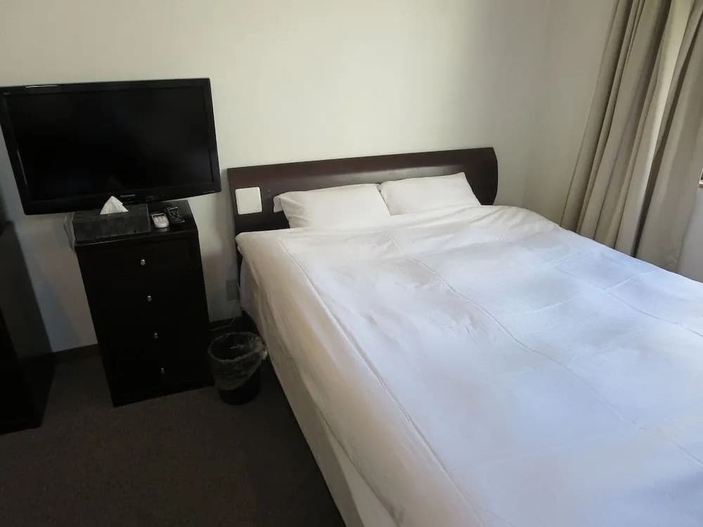 HOTEL City Villa R - photo 1