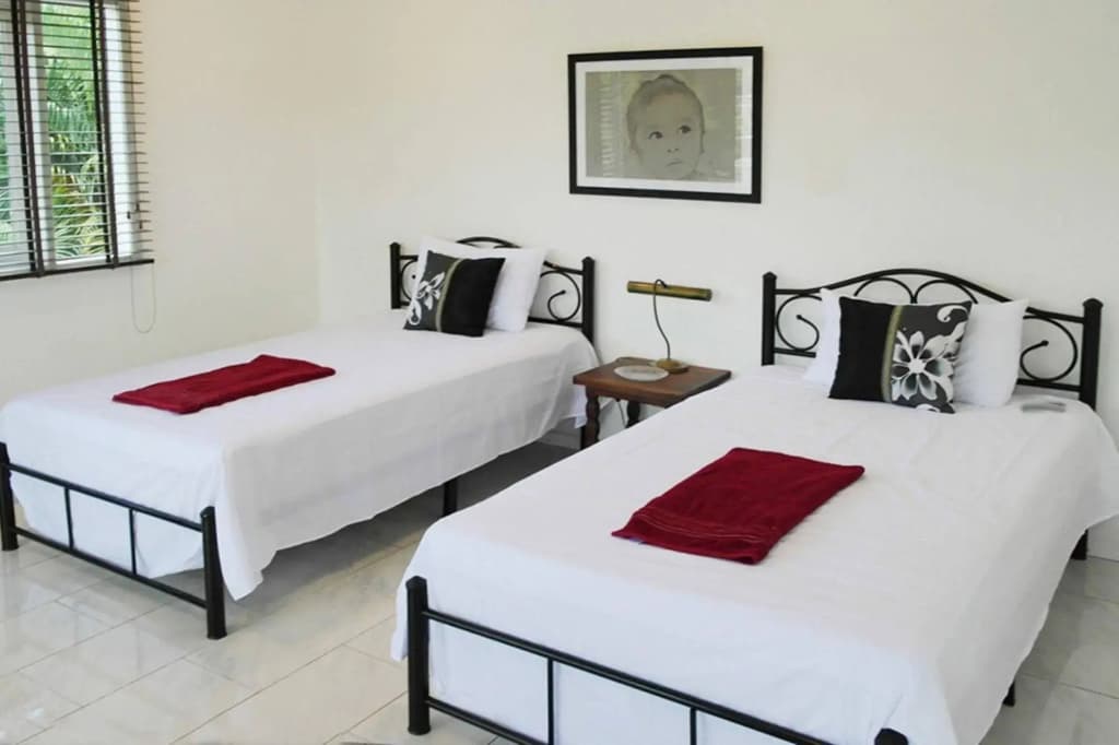 NB Villa Oasis - photo 5
