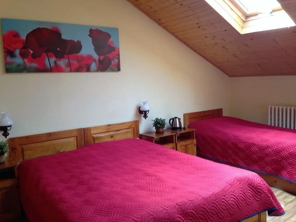 Platan pension - photo 6