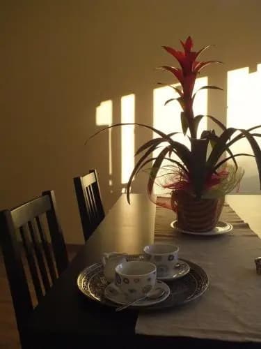 Romantic Holiday Rome B&B - photo 15