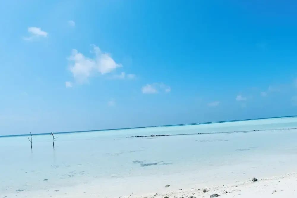 Rattehi Inn at Rakeedhoo - photo 10