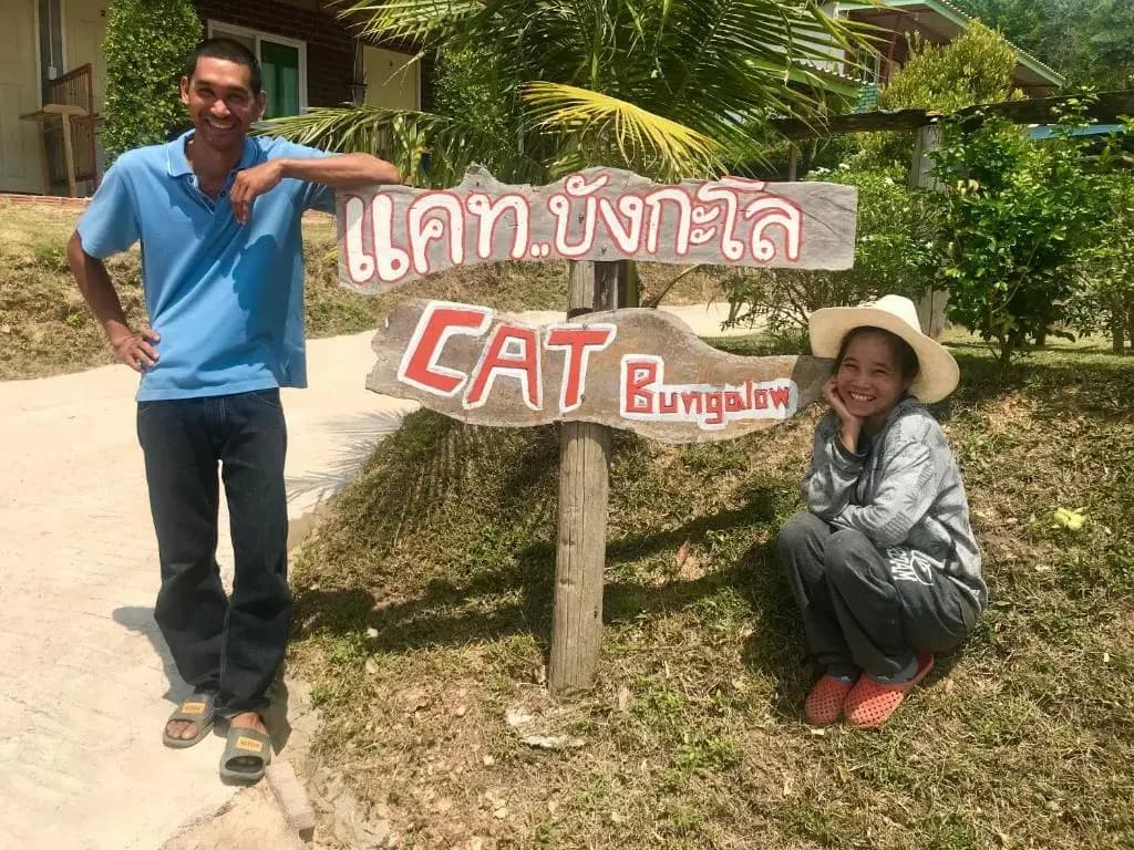 Cat Bungalow - photo 9