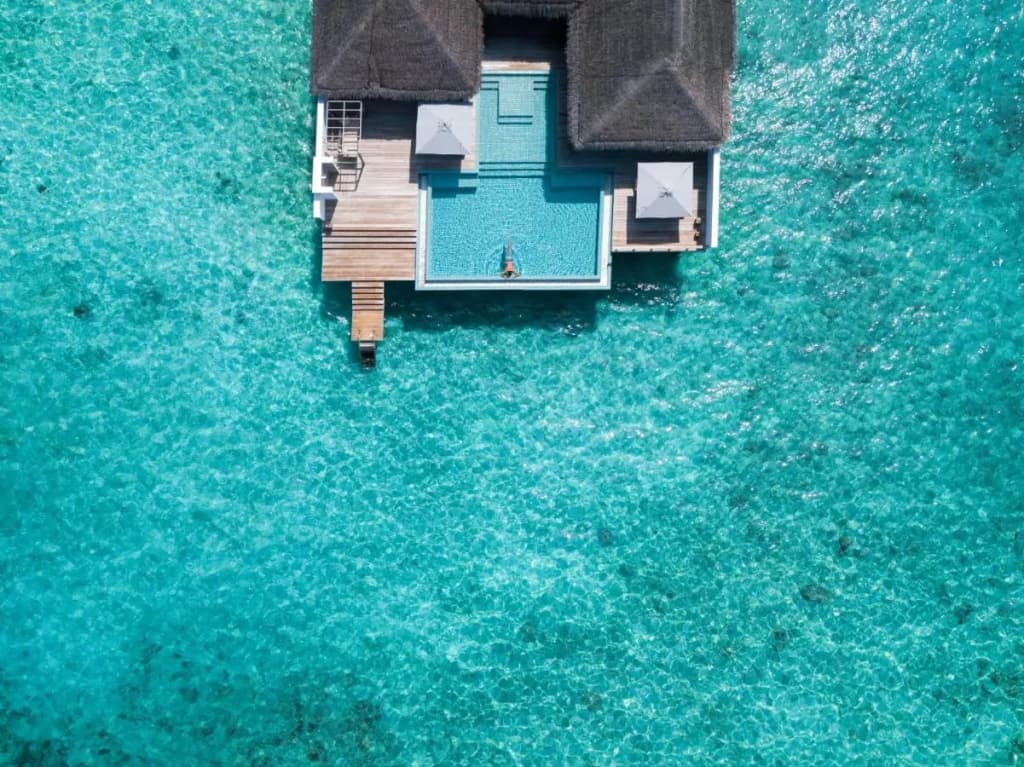 Finolhu, A Seaside Collection Resort, a Member of Design Hotels - photo 45