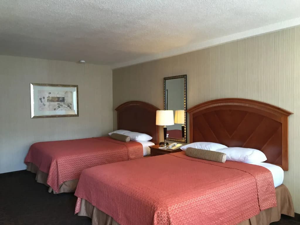 Royal Pacific Motor Inn - photo 41
