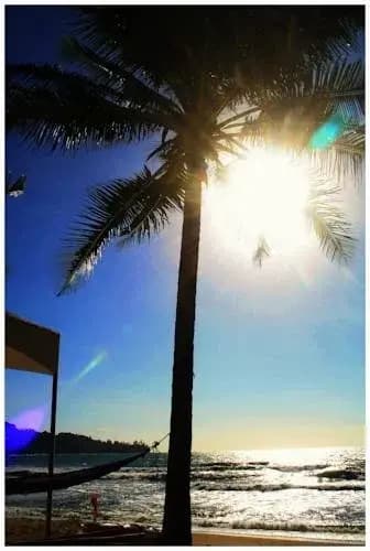 Honey Bear Guesthouse - photo 7