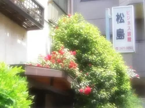Business Ryokan Matsushima - photo 1