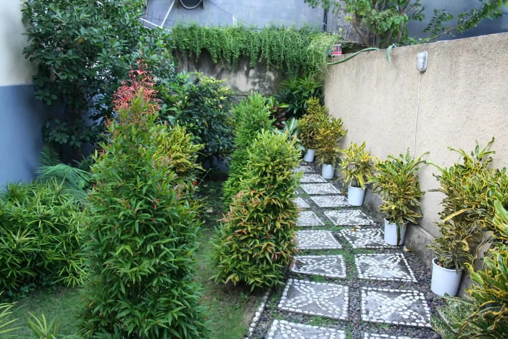 Betesda Guest House - photo 14
