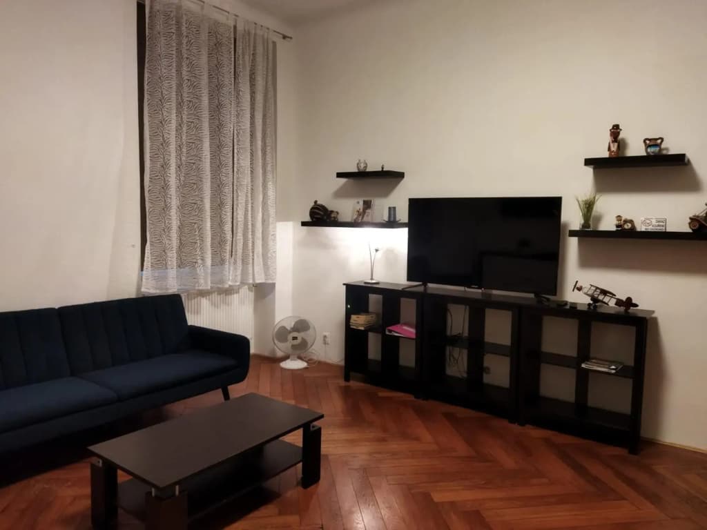 Tiva Downtown Apartments - photo 12