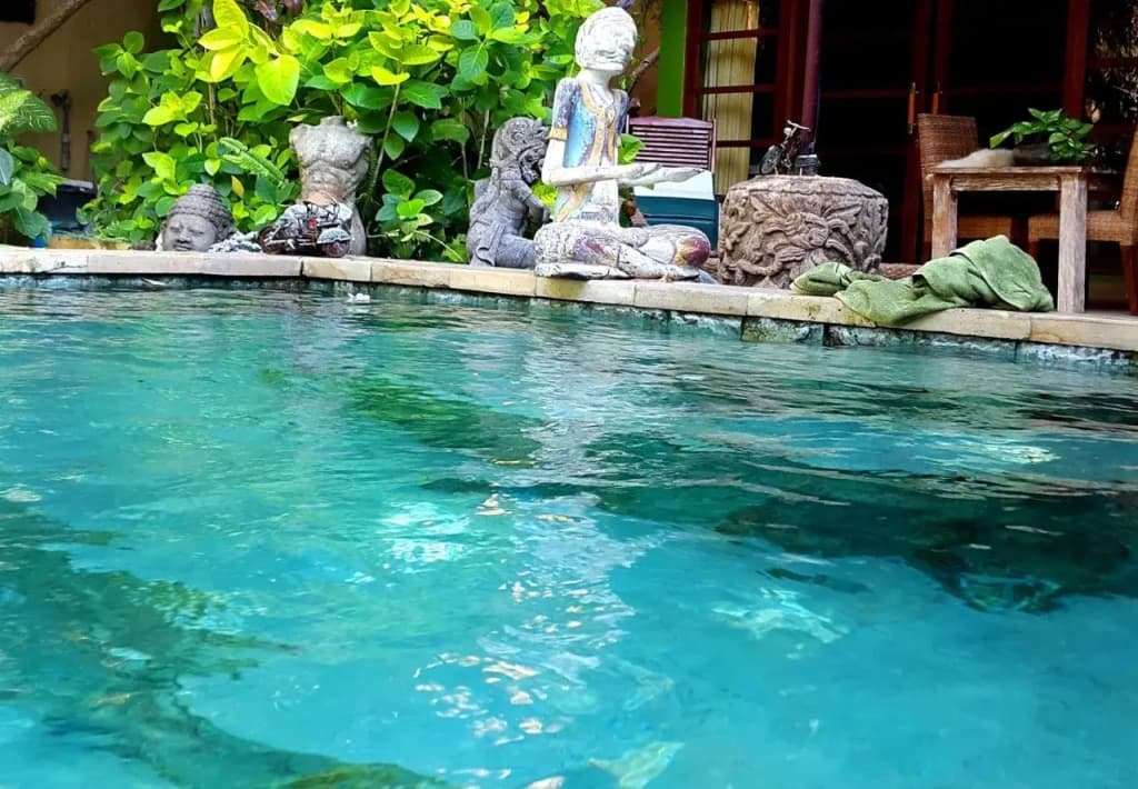 Green Chaka Villa - photo 12