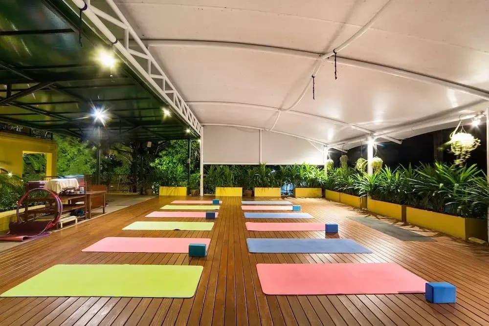 CC Bloom's Hotel - photo 15