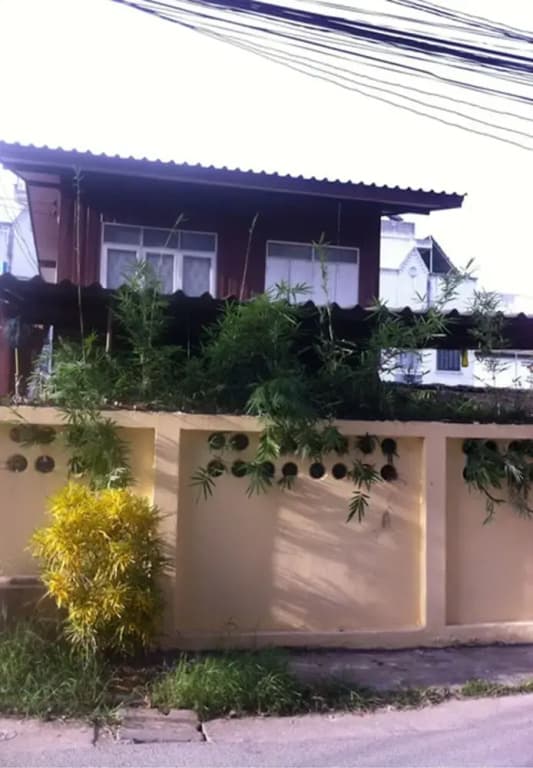 Elephant Retirement Hostel - photo 10