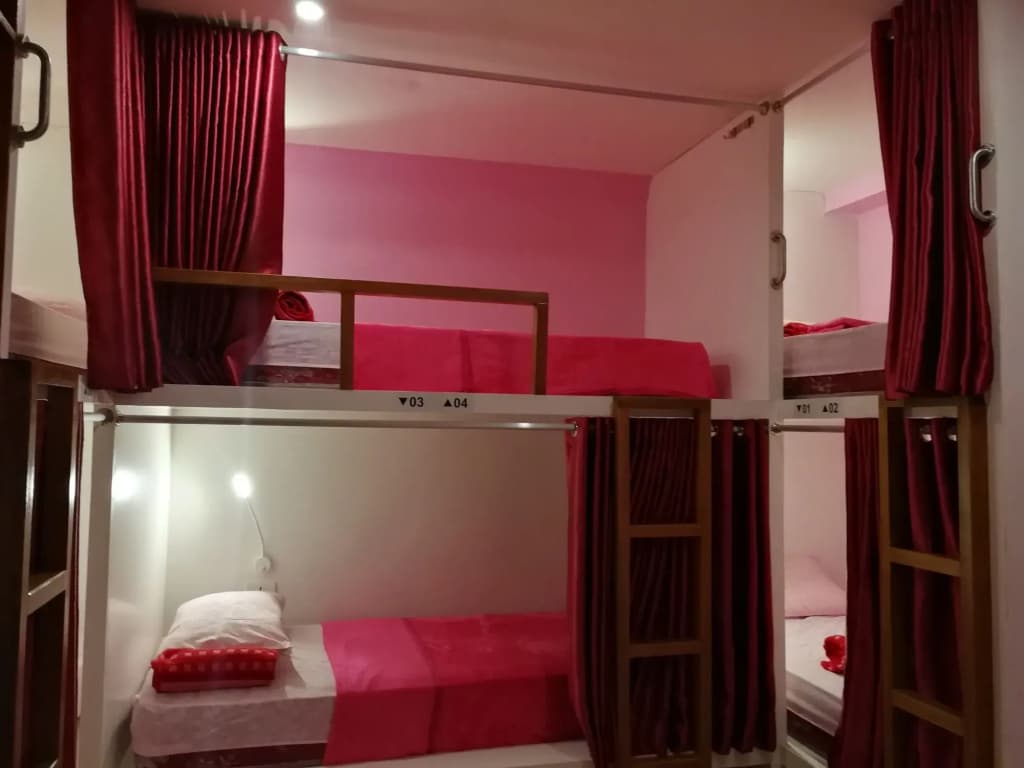 Sleepy Raccoon Hostel - photo 3