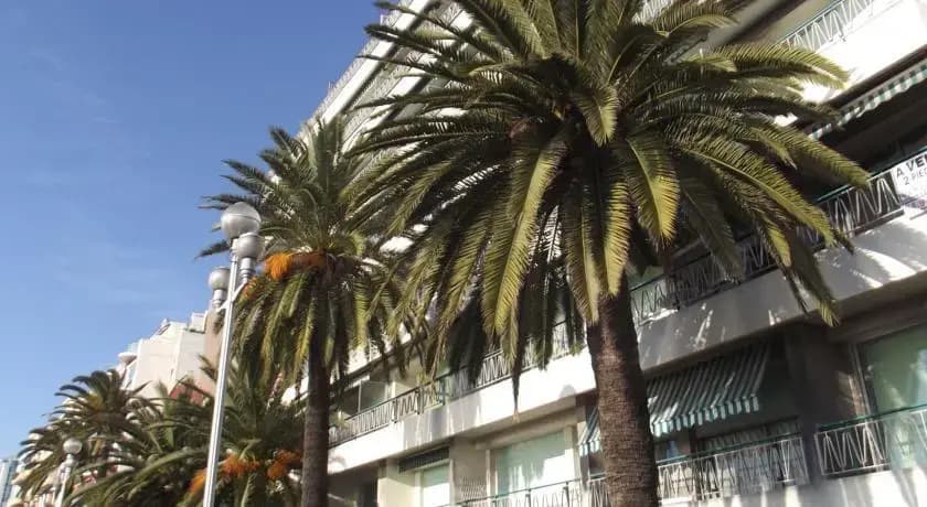 MyNice Vacances Floride - main photo