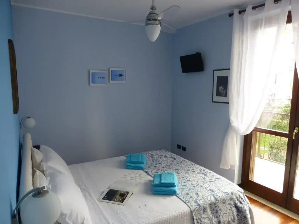 Rutilia22 - photo 30