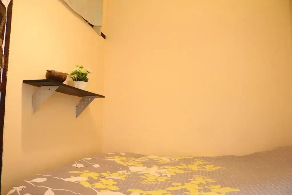 Eco House - photo 2