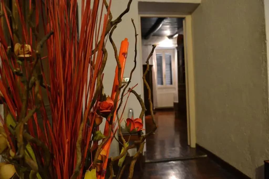 Civitas - photo 3