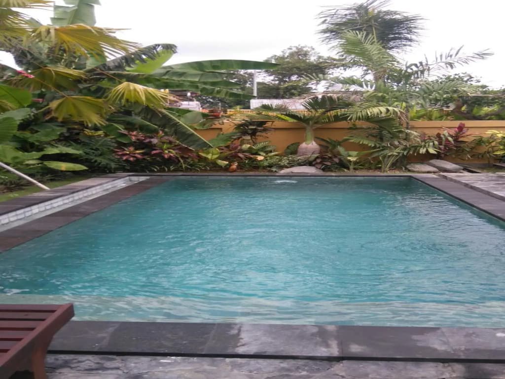 Come Back Guesthouse - photo 2