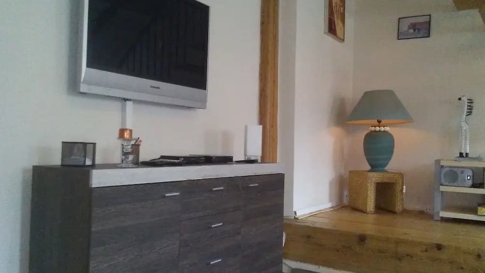 Smeralova Apartments - photo 5