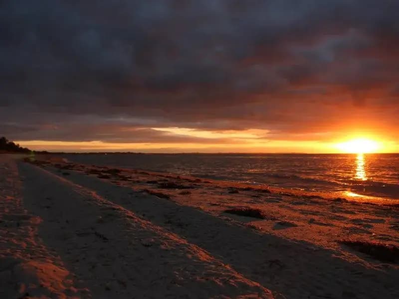 Capel Sound Escapes - photo 9