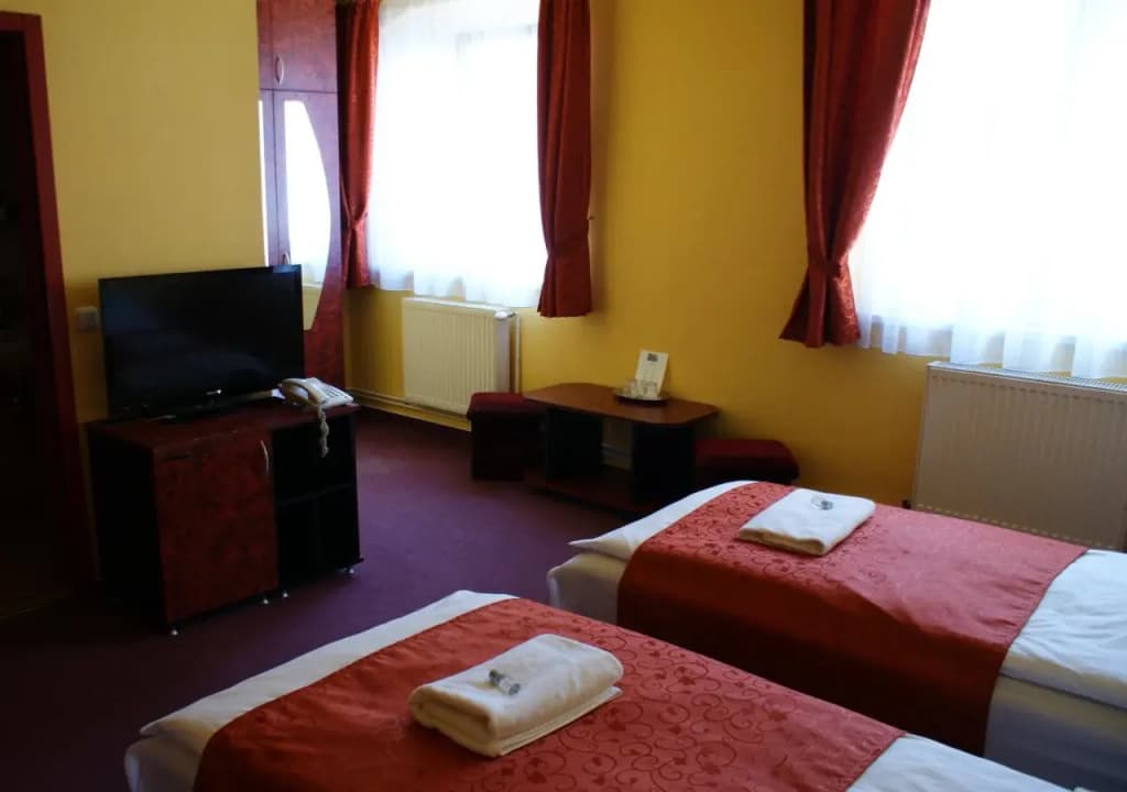 Hotel Palota City - photo 3